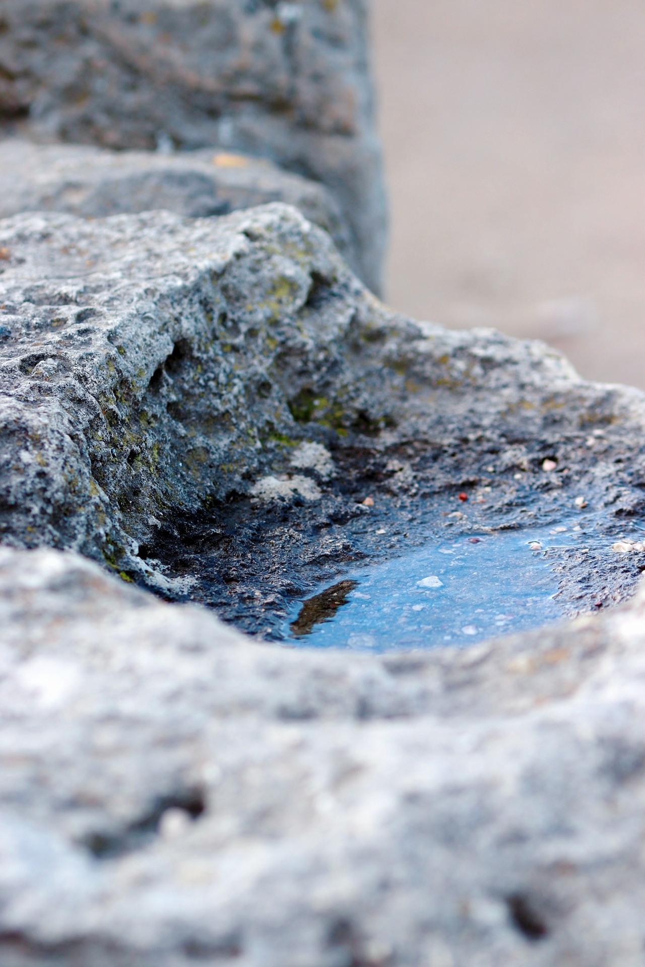 Walk by the sea. Lots of photos. Part 1. My - My, The photo, Landscape, Sea, Winter, Longpost