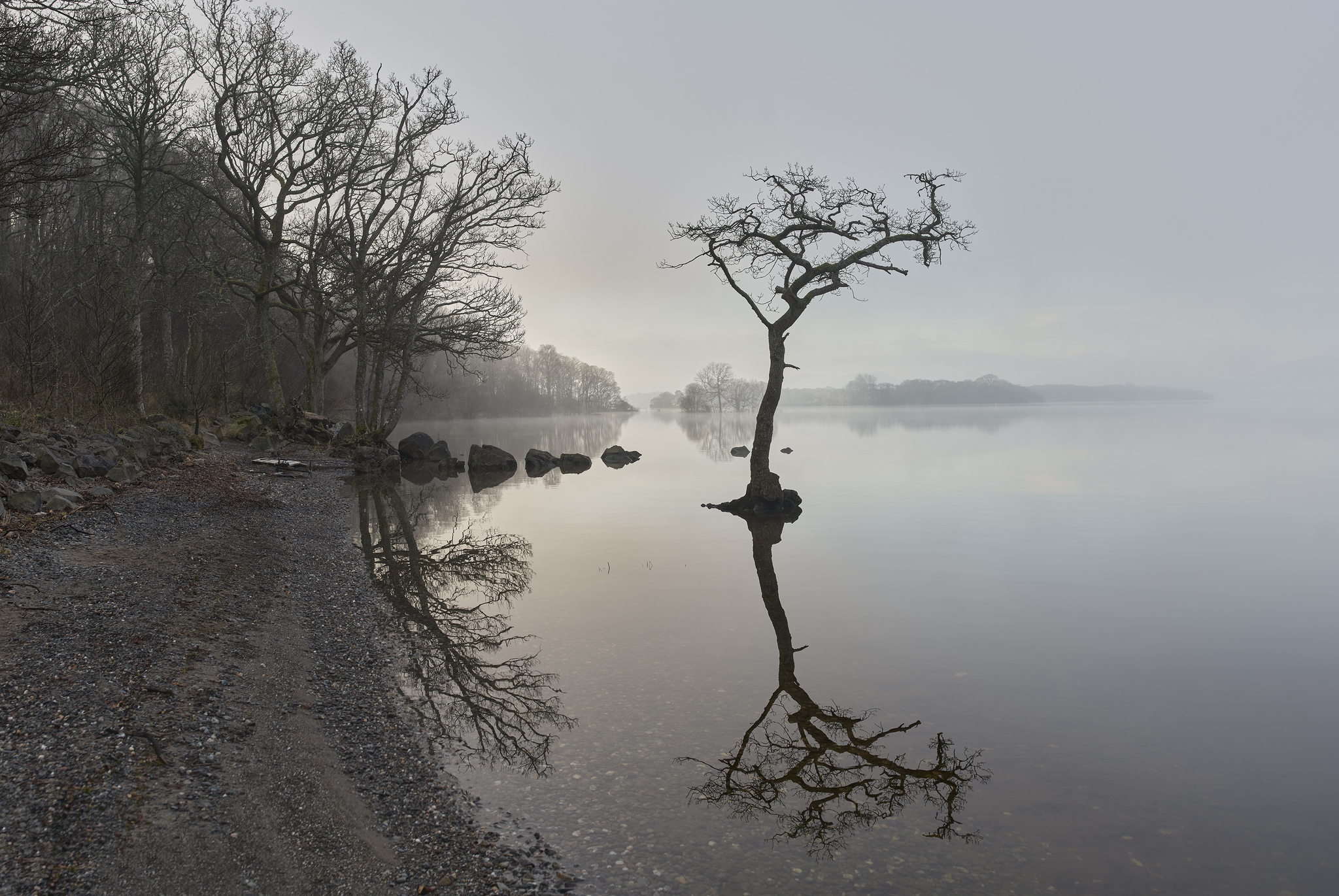 Foggy morning, gray morning - My, Morning, Fog, Reflection, Lake, Tree, Scotland, Travels, The photo, Longpost