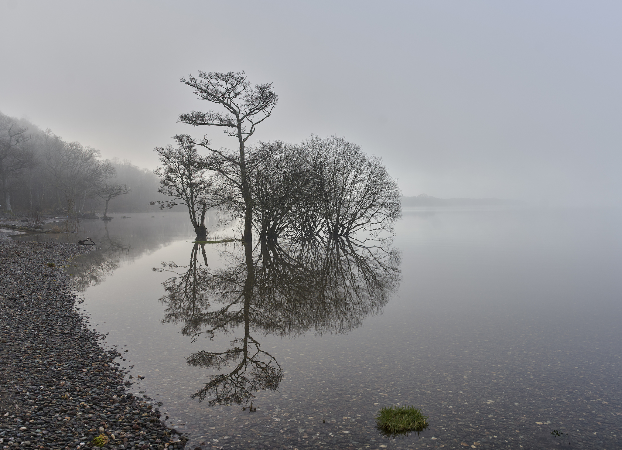 Foggy morning, gray morning - My, Morning, Fog, Reflection, Lake, Tree, Scotland, Travels, The photo, Longpost