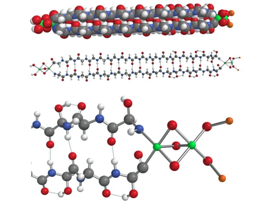 Scientists discover protein in meteorite for the first time - Space, Meteorite, Protein