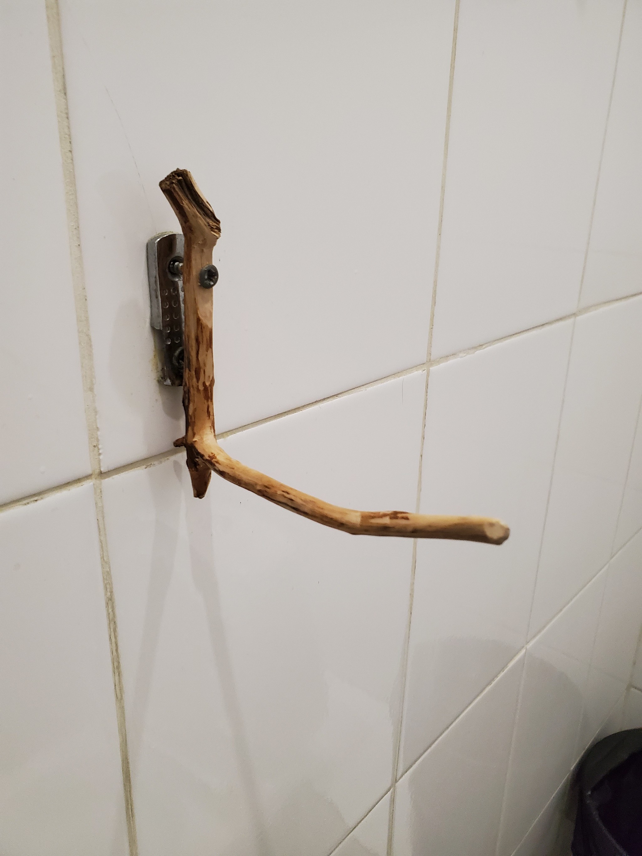 Found in the toilet of the ward of the military hospital named after. Burdenko - I share, Repair, Rukozhop