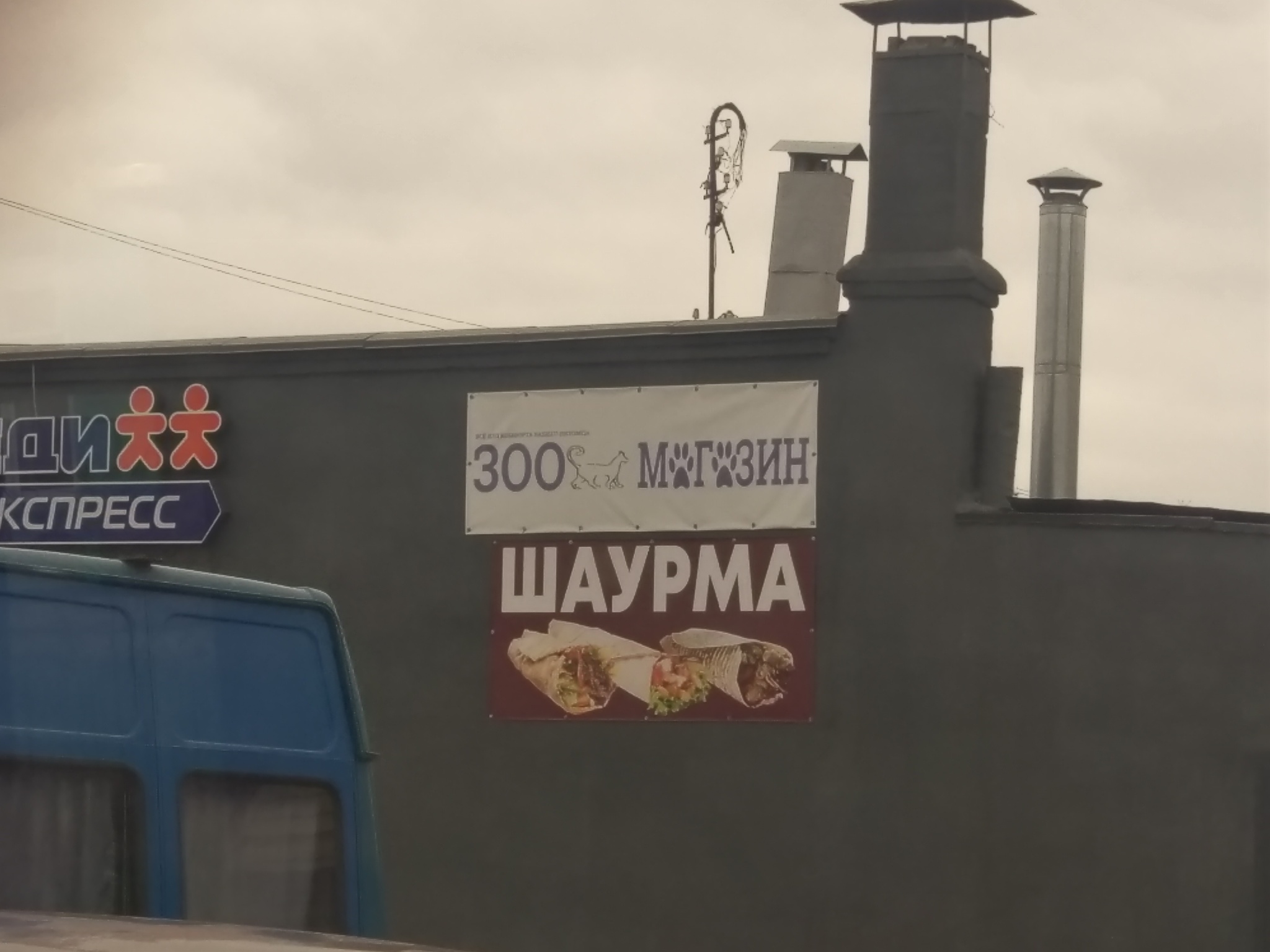 Шаурма из... - Моё, Шаурма, Зоомагазин, Еда