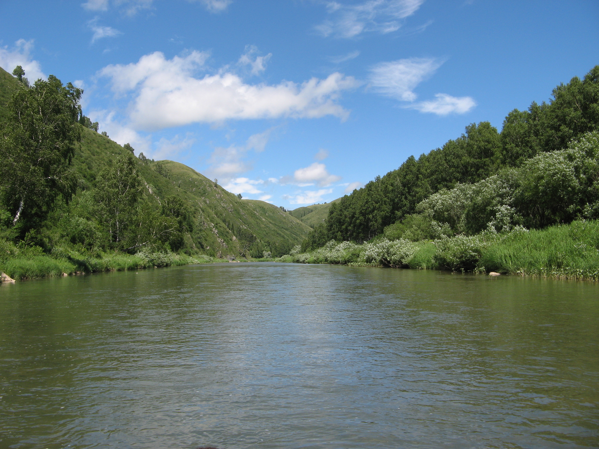 Foothills 2 - My, Altai region, Foothill, Longpost