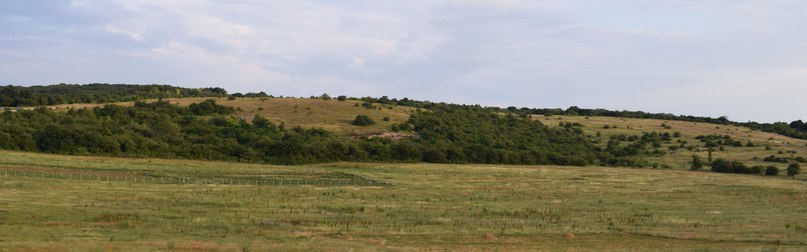 Excavations, bones, scorching sun. Exploration of the Opushki burial ground - My, Archeology, Expedition, Longpost, Crimea, Scythians, Gold