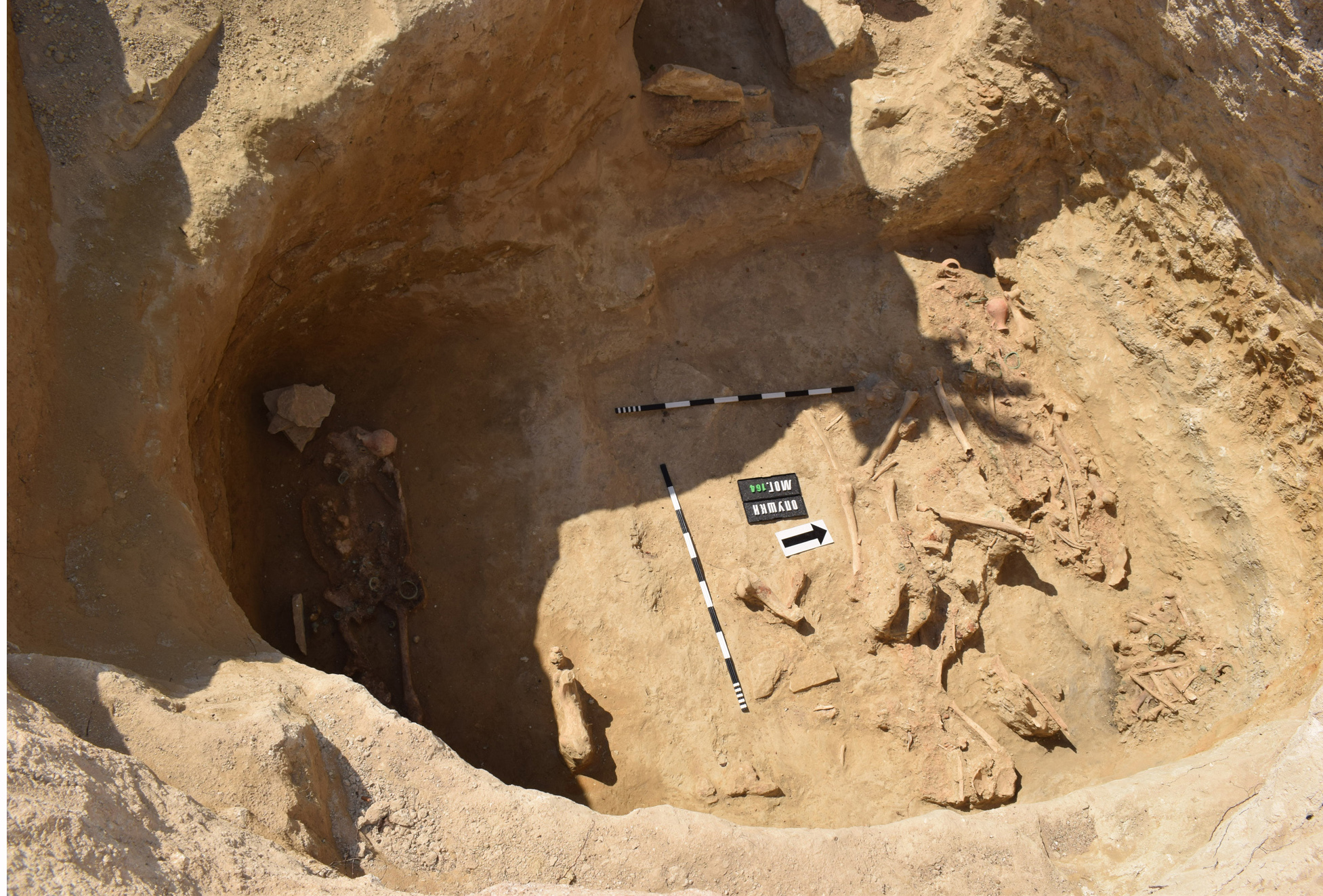 Excavations, bones, scorching sun. Exploration of the Opushki burial ground - My, Archeology, Expedition, Longpost, Crimea, Scythians, Gold