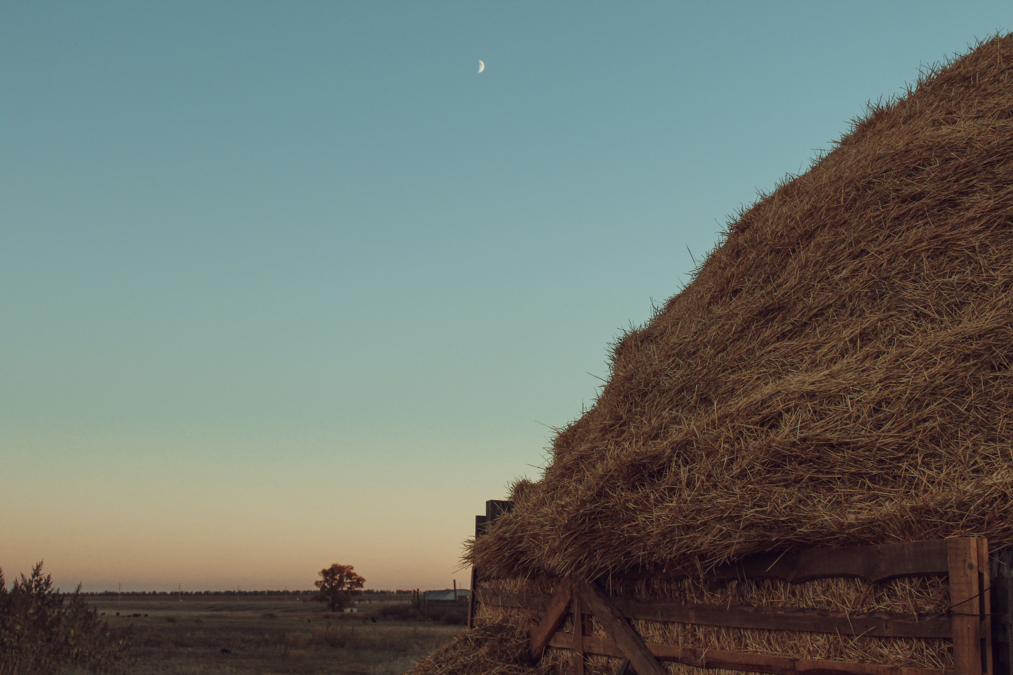 Rustic - My, Village, Nature, The photo, Longpost