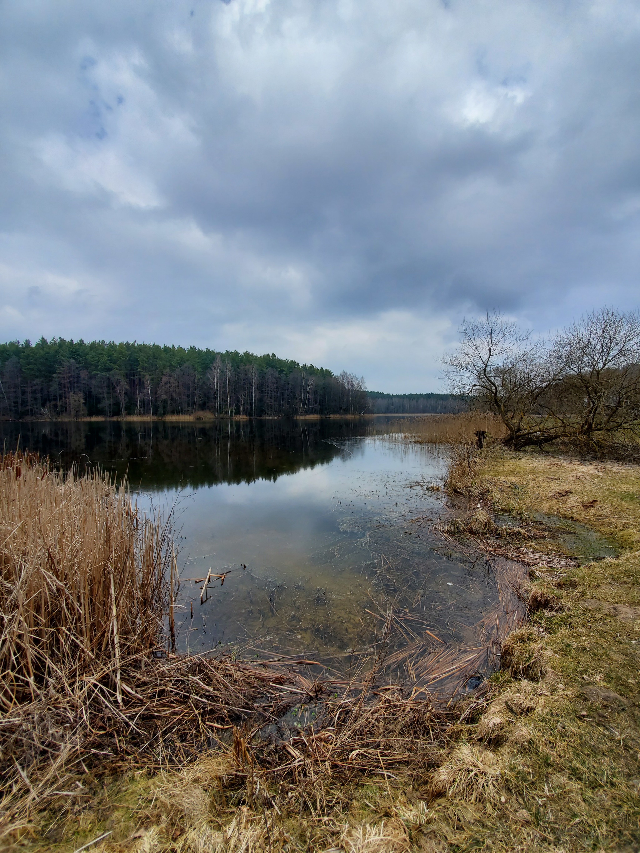 Водохранилище Вяча - Моё, Мобильная фотография, Фотобродилки, Длиннопост