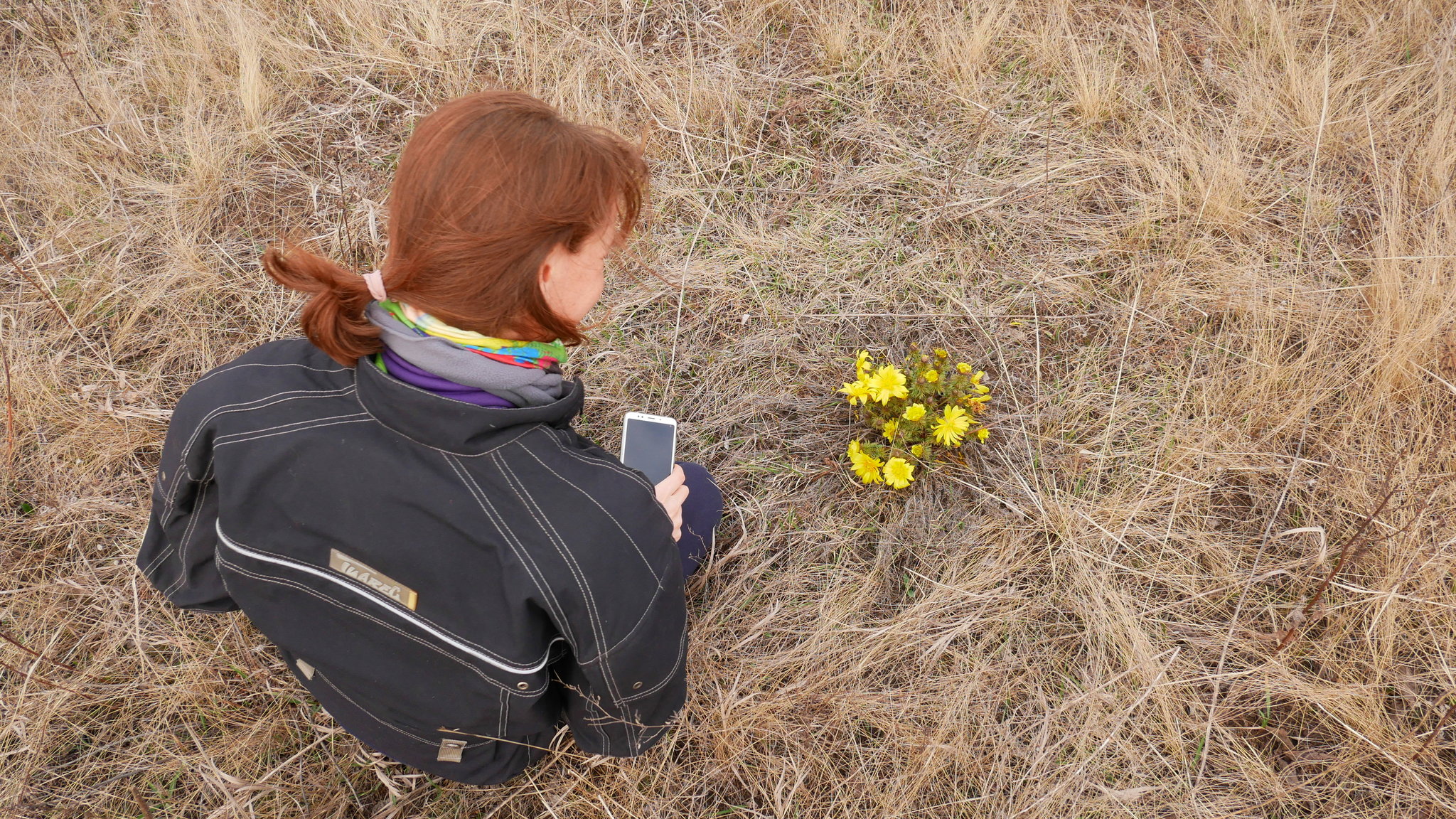 Looking for spring - My, Flowers, Pokatushki, Moto, Mood, Longpost