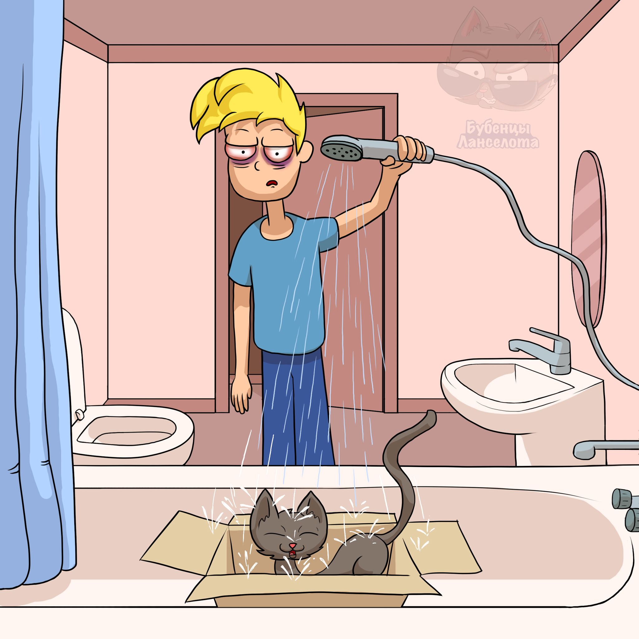 How do you bathe your furry pet? - My, cat, Art, Box, Bathing, Shower, Humor, Longpost