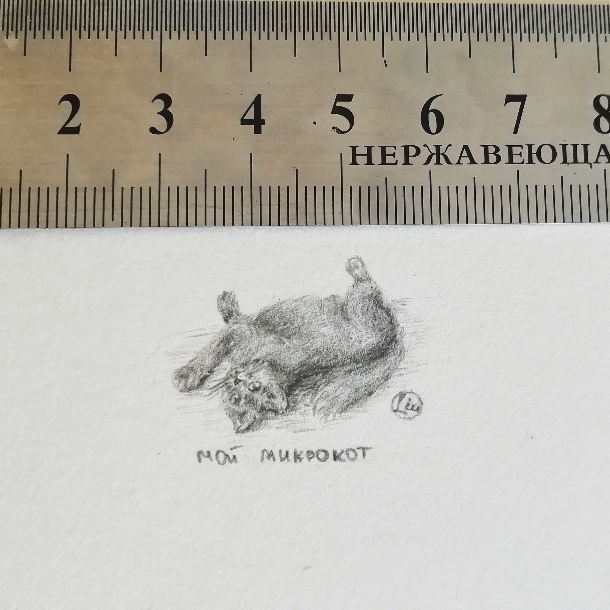 Microcat - My, cat, Drawing, Pencil drawing, Miniature