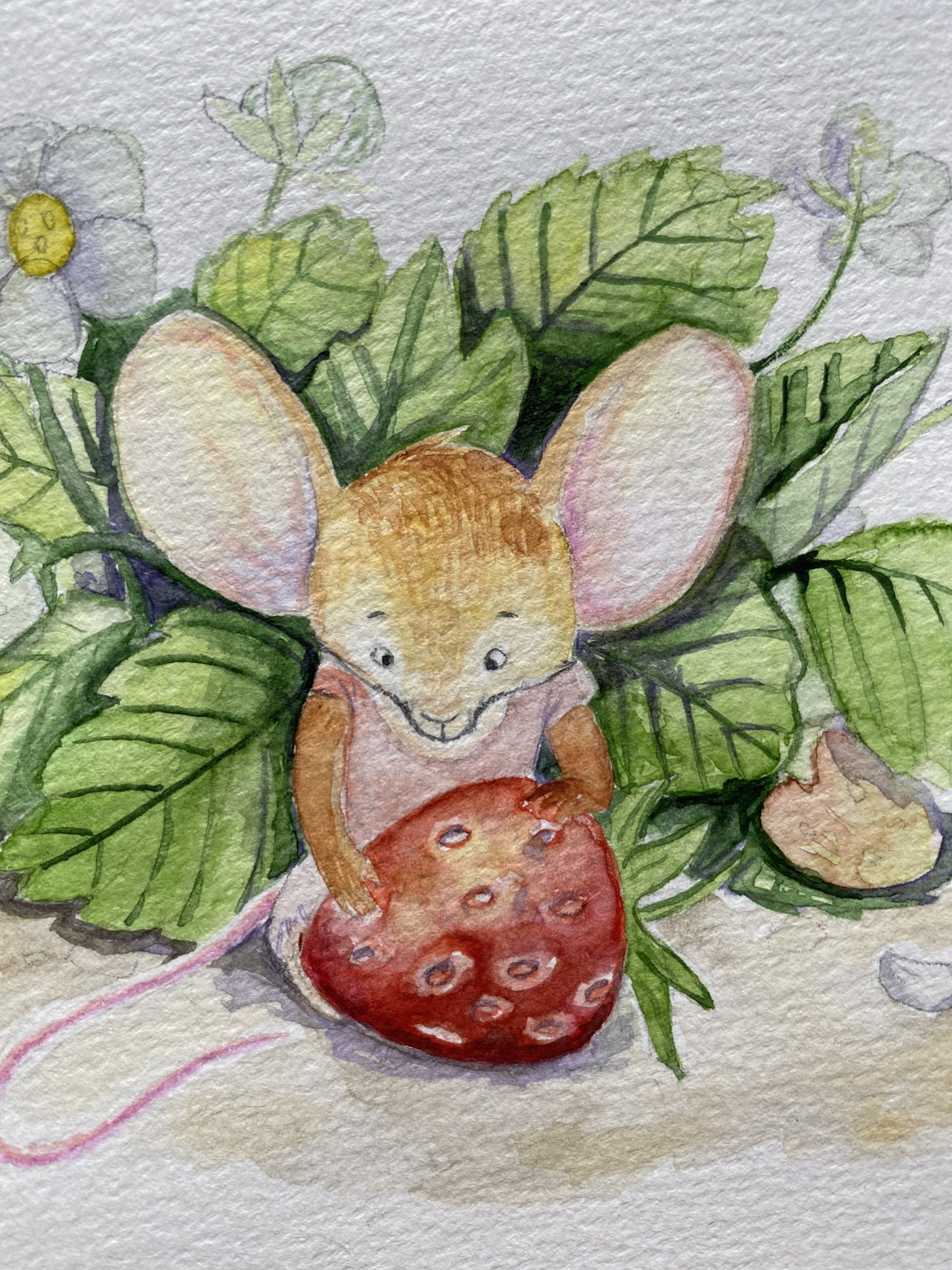 Mouse - My, Illustrations, Illustrator, Story, Watercolor, Longpost