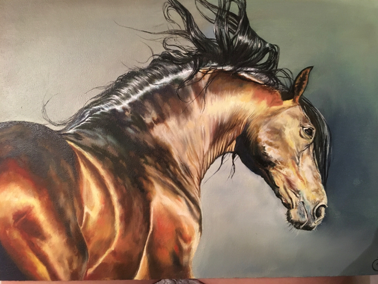 Horse - My, Artist, Creation, Horses