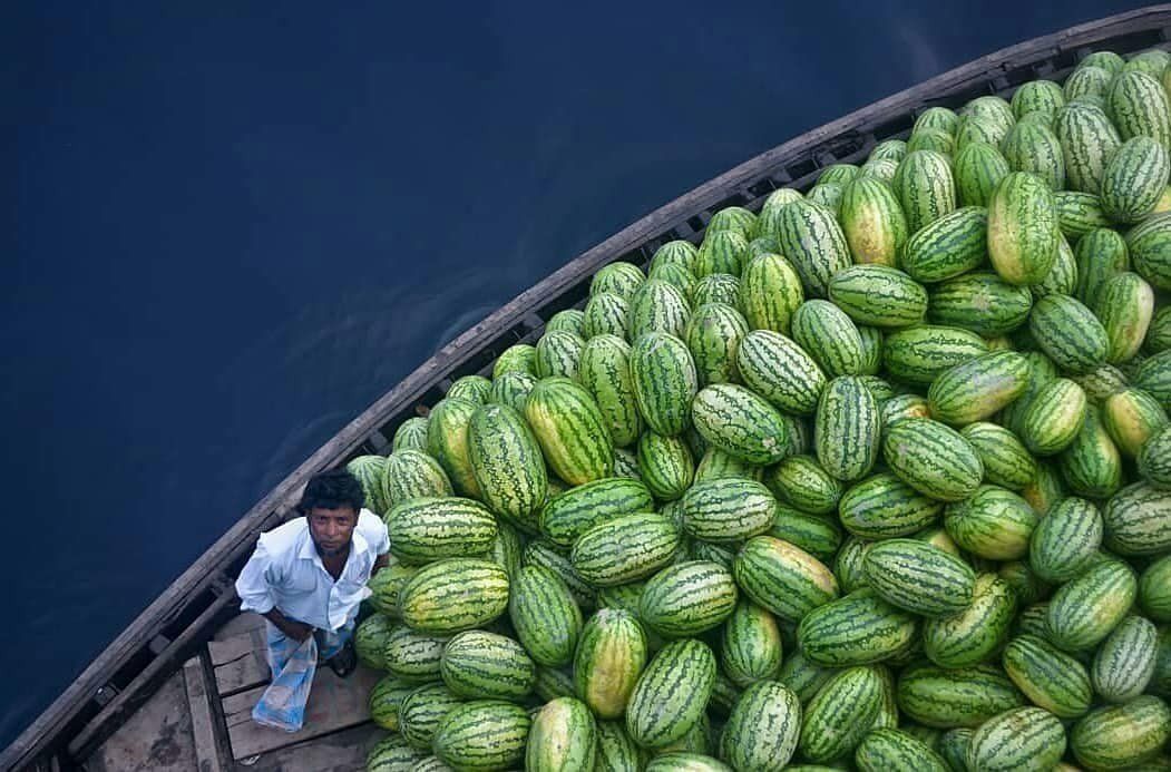 More like summer. Watermelon juicy summer - Watermelon, Summer, Humor, The photo