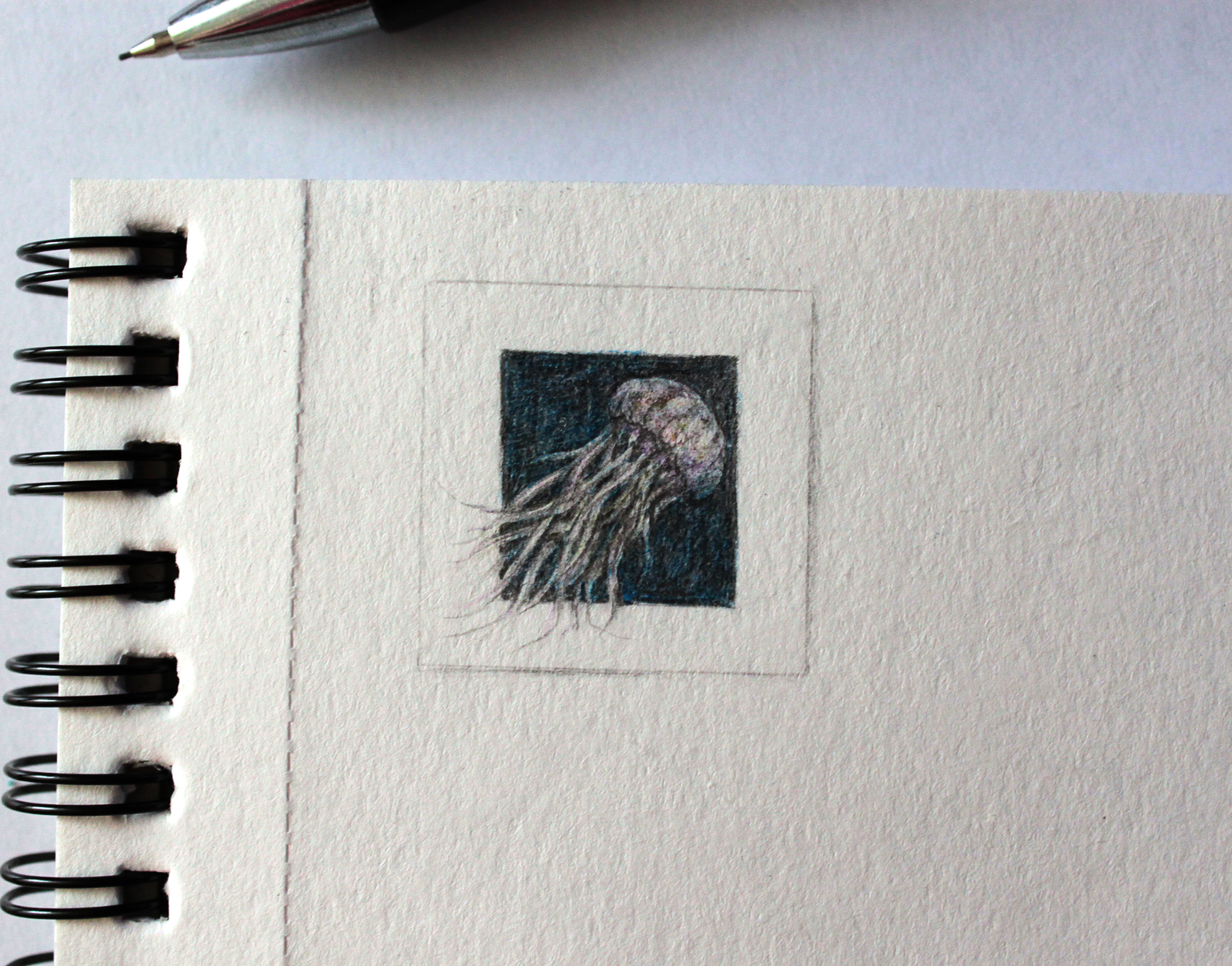 Micro animals. Continuation - My, Microworld, Drawing, Longpost