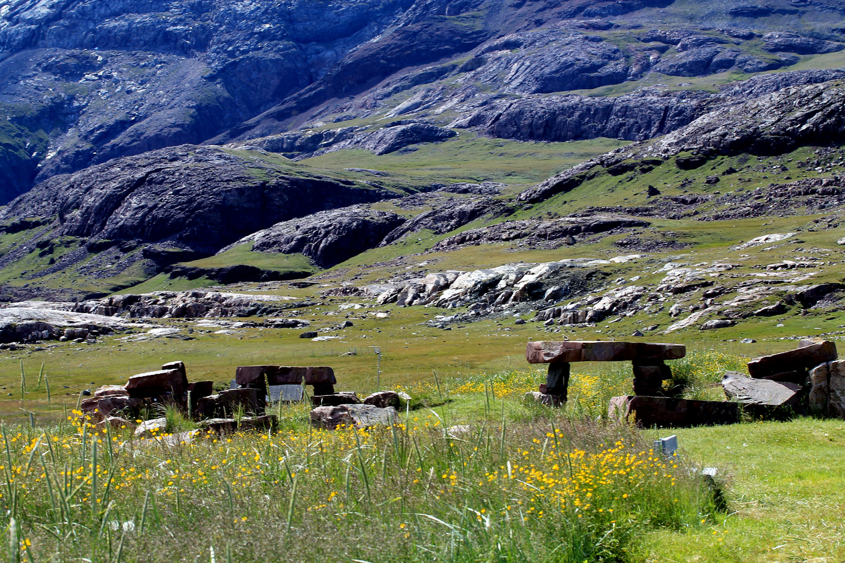 What the sagas won’t tell you: the death of the Icelandic walrus - Викинги, Iceland, Ecology, Goarctic ru, Nature, Longpost