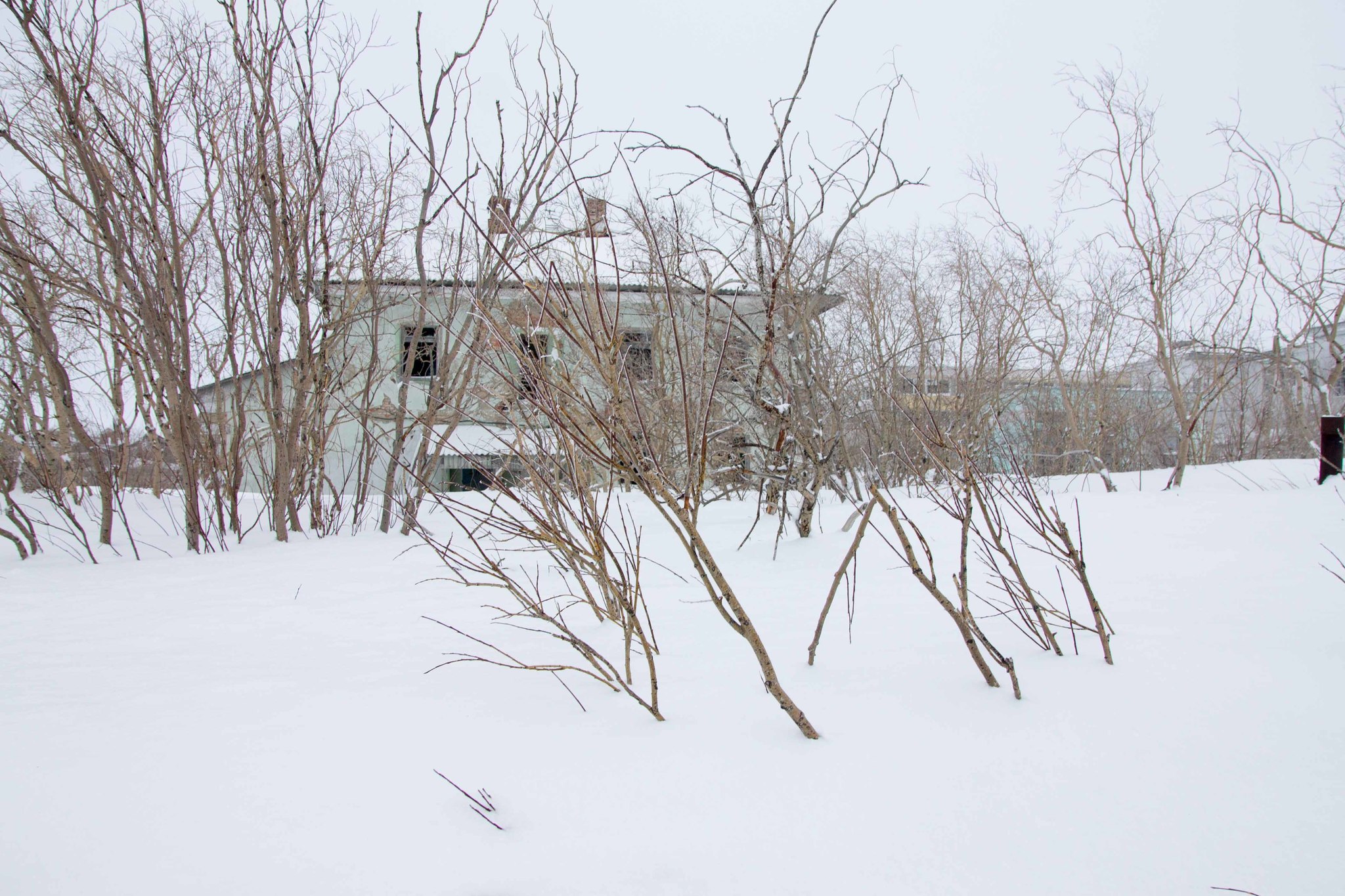 Cementnozavodsky, Komi Republic - My, Vorkuta, Komi, Far North, Abandoned, Photobritish, Travel across Russia, Longpost