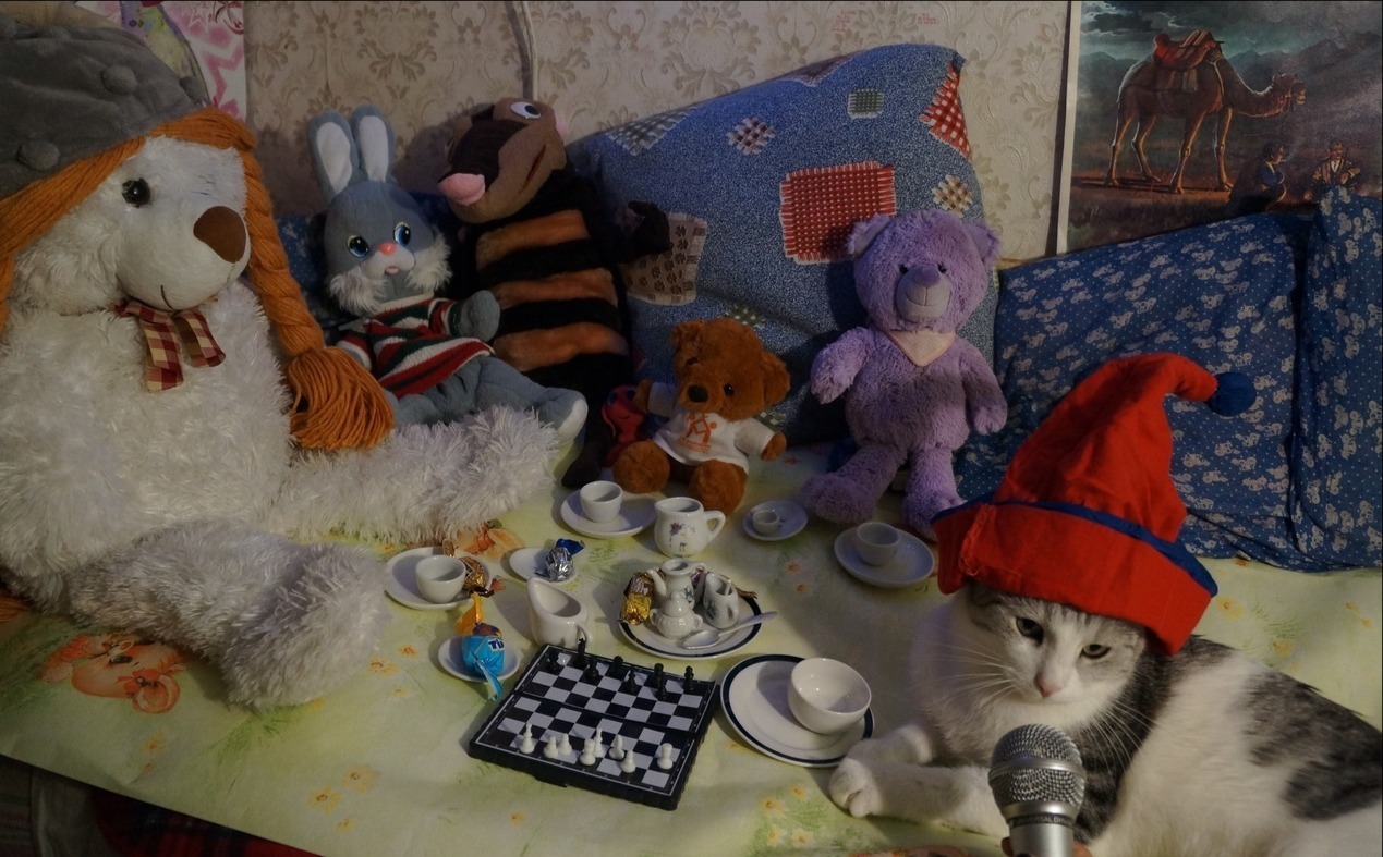 Furry Society - My, Toys, cat, Game, Children's literature, Fluffy