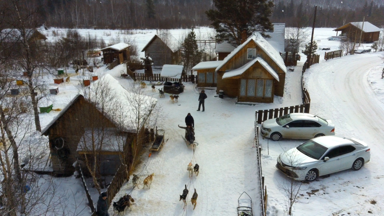 Our Amazing Baikal!!! - My, Baikal, Listvyanka, Relaxation, Siberia, Ice, Husky, Irkutsk, Winter, Video