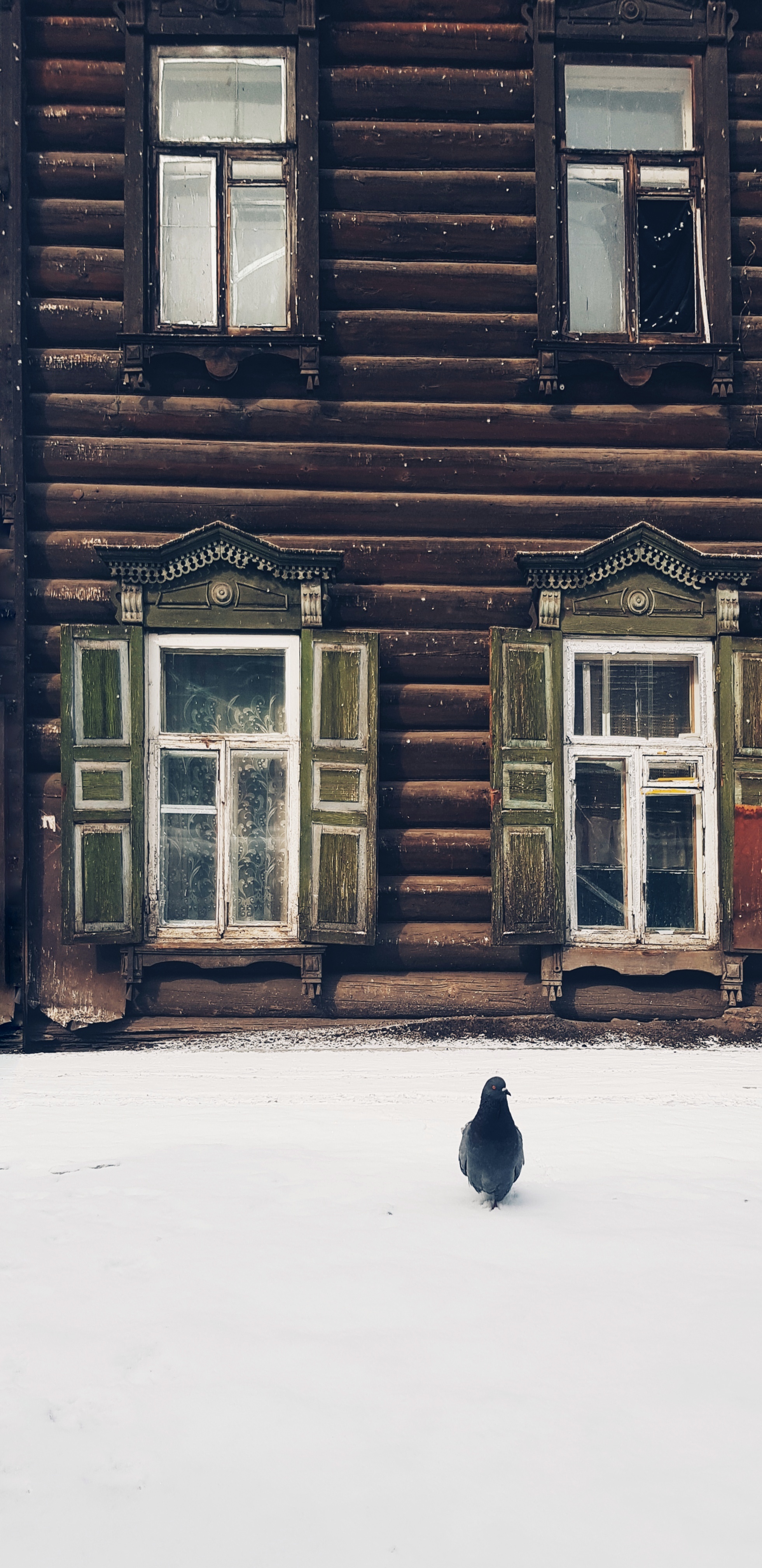 Irkutsk a little bit) - My, Irkutsk region, Irkutsk, Longpost, cat, The photo