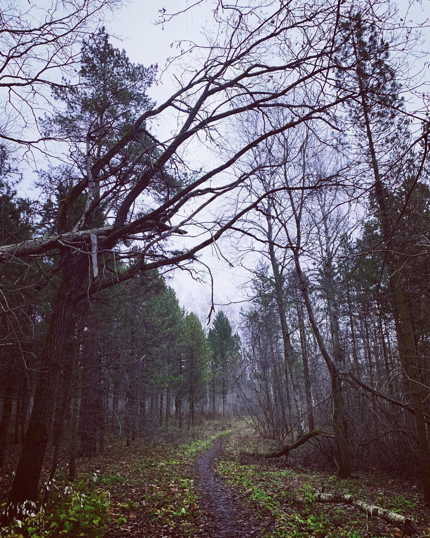 Sleepy Hollow at the Botanical Garden - My, Botanical Garden, Moscow, Longpost, Autumn