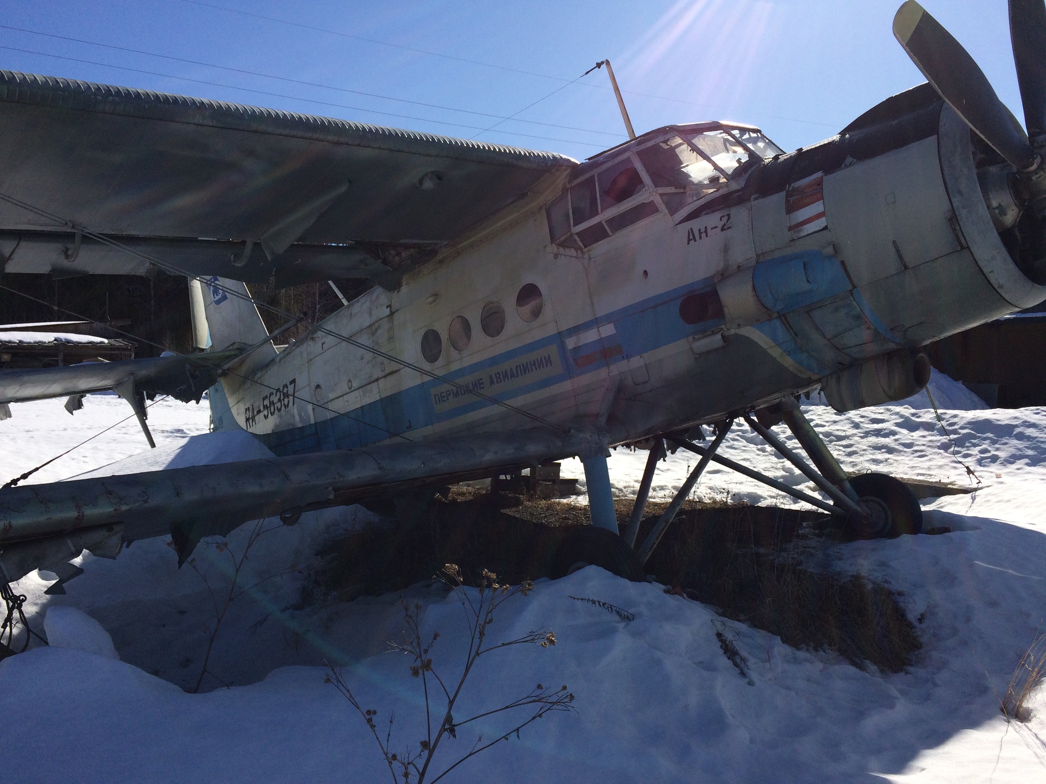 An-2 plane - My, An-2, Airplane, Longpost