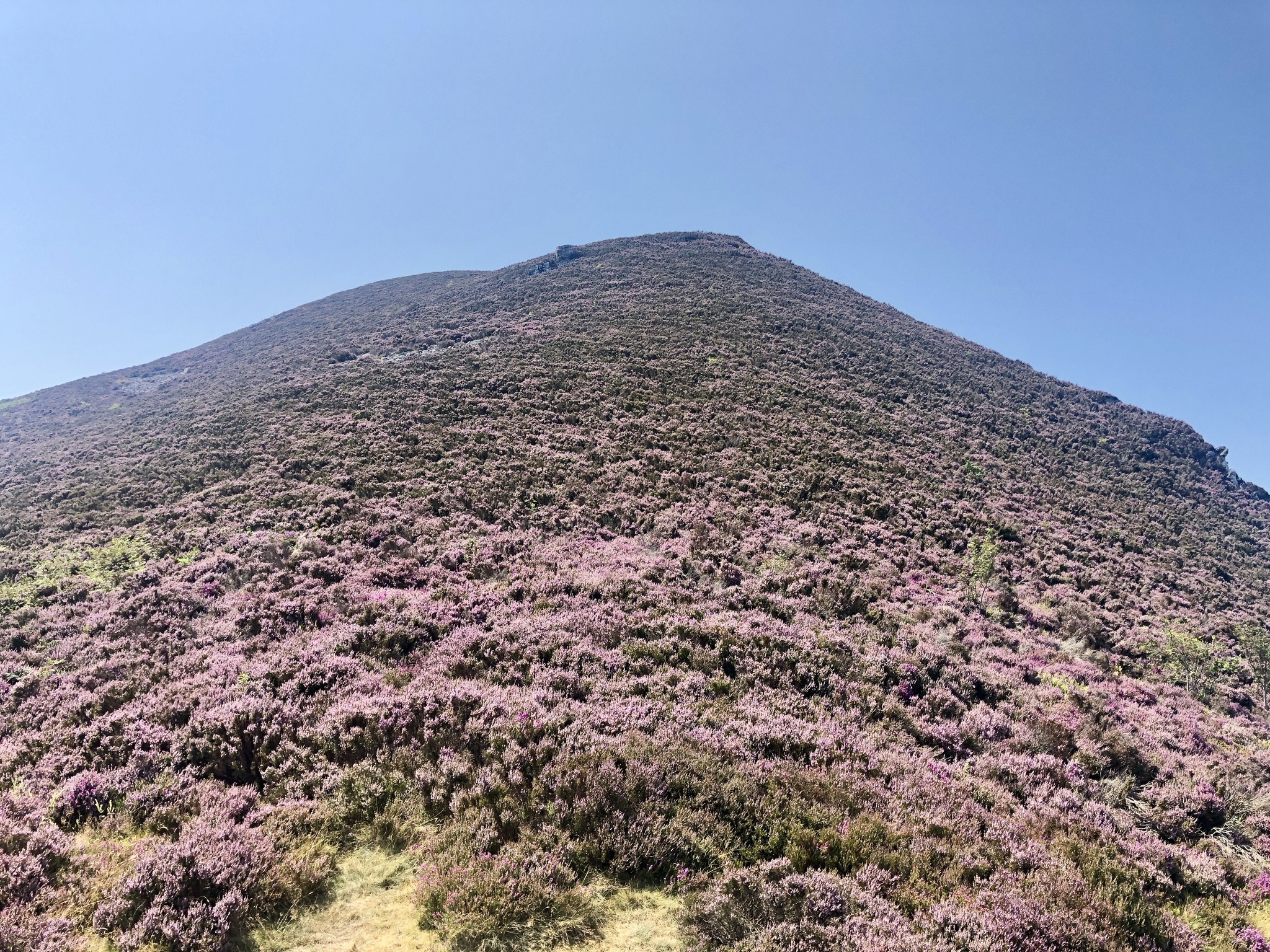 Walk through Heddon Valley, North Devon, England (part 1) - My, Hiking, Virtual tours, Mobile photography, Great Britain, England, Devonian, Ocean, Longpost