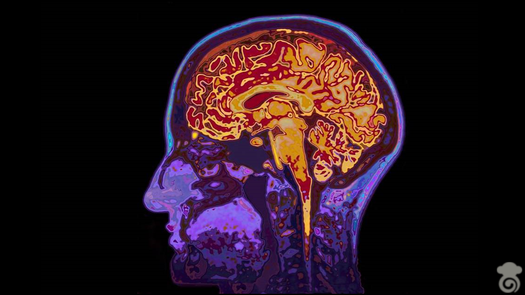 The Tale of Oxytocin and Vasopressin - Oxytocin, Adh, Behavior, Psychology, Neuropsychology, Brain, Hormones, Neurotransmitters, Longpost