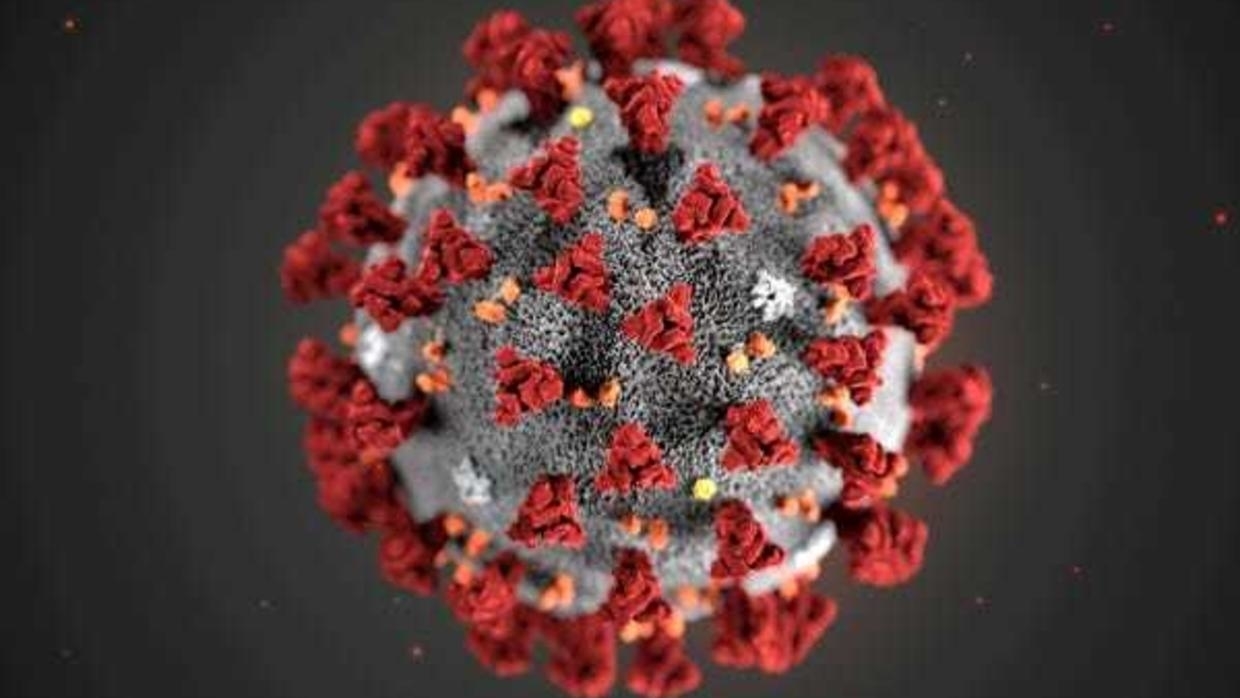 Coronavirus vs Flu - Coronavirus, Flu, Pandemic, Epidemic, Statistics, Comparison, Safety
