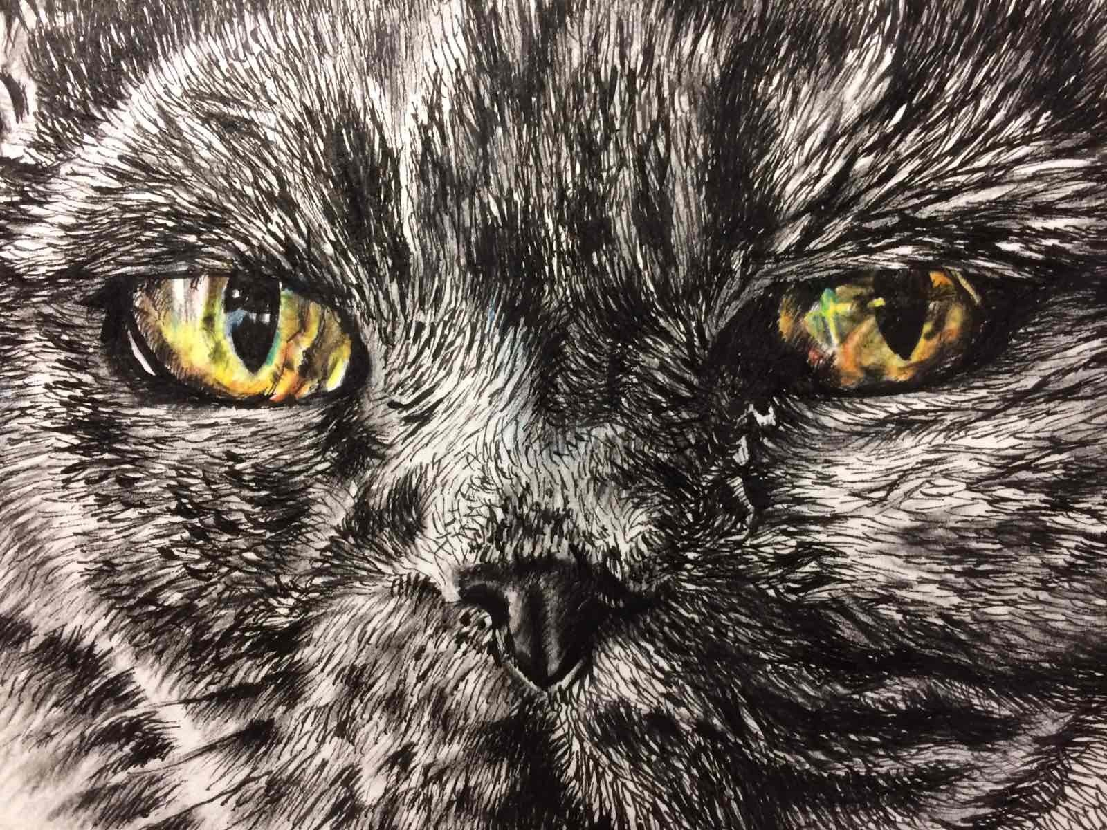 Monochrome portrait of a cat - My, Drawing, cat, Catomafia, Monochrome, Creation