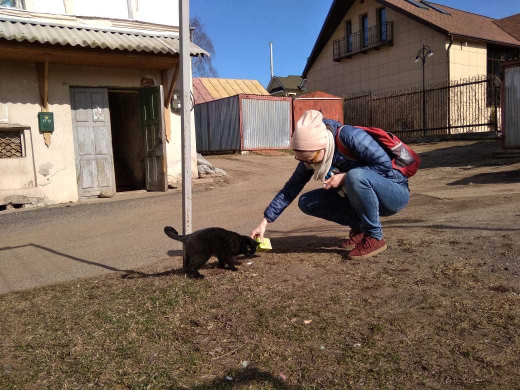 Про глубинку - Моё, Двор, Города России, Путешествие по России, Длиннопост, Кот