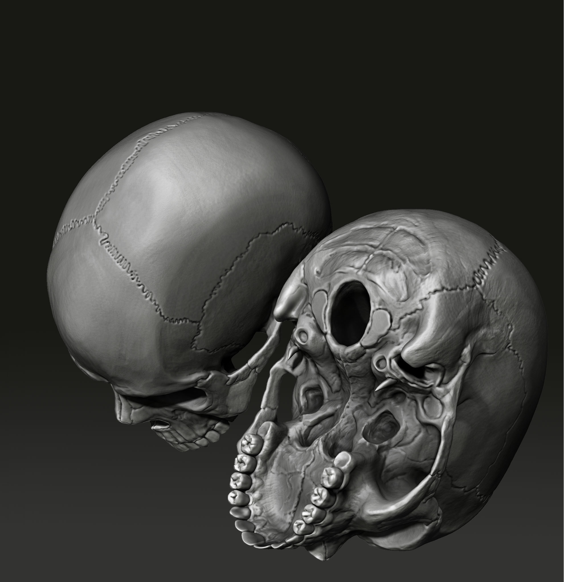 Scull. Realistic model. Study work - My, 3D, Zbrush, Scull, Computer graphics, Sculpting, Longpost