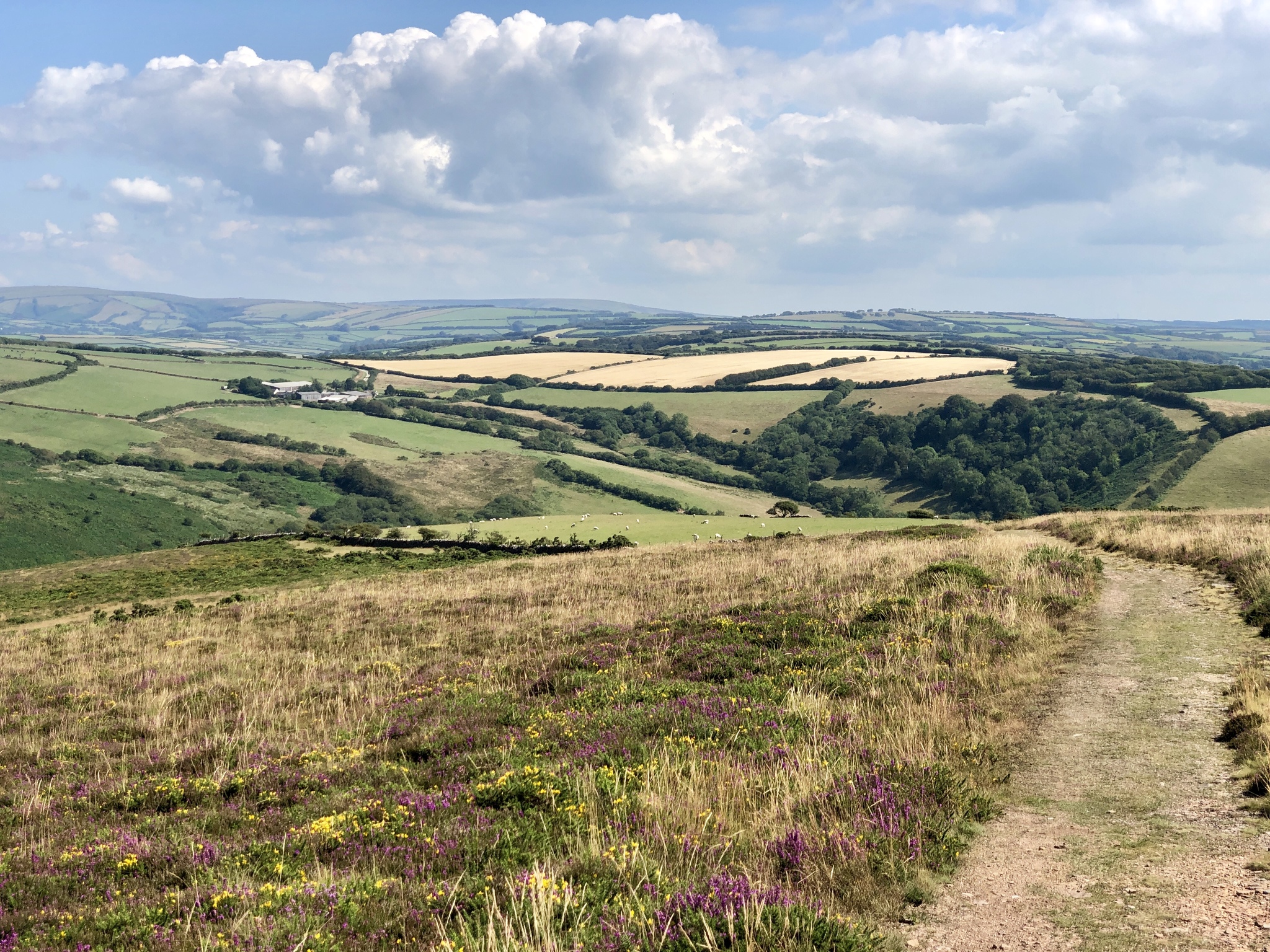 Walk through Heddon Valley, North Devon, England (part 2) - My, Great Britain, England, Walk, Hiking, Excursion, Mobile photography, Longpost