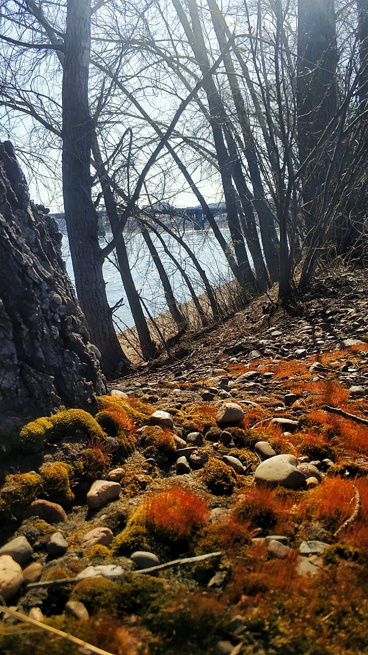 Phone photo cards - My, Photo on sneaker, Nature, Irkutsk, Longpost