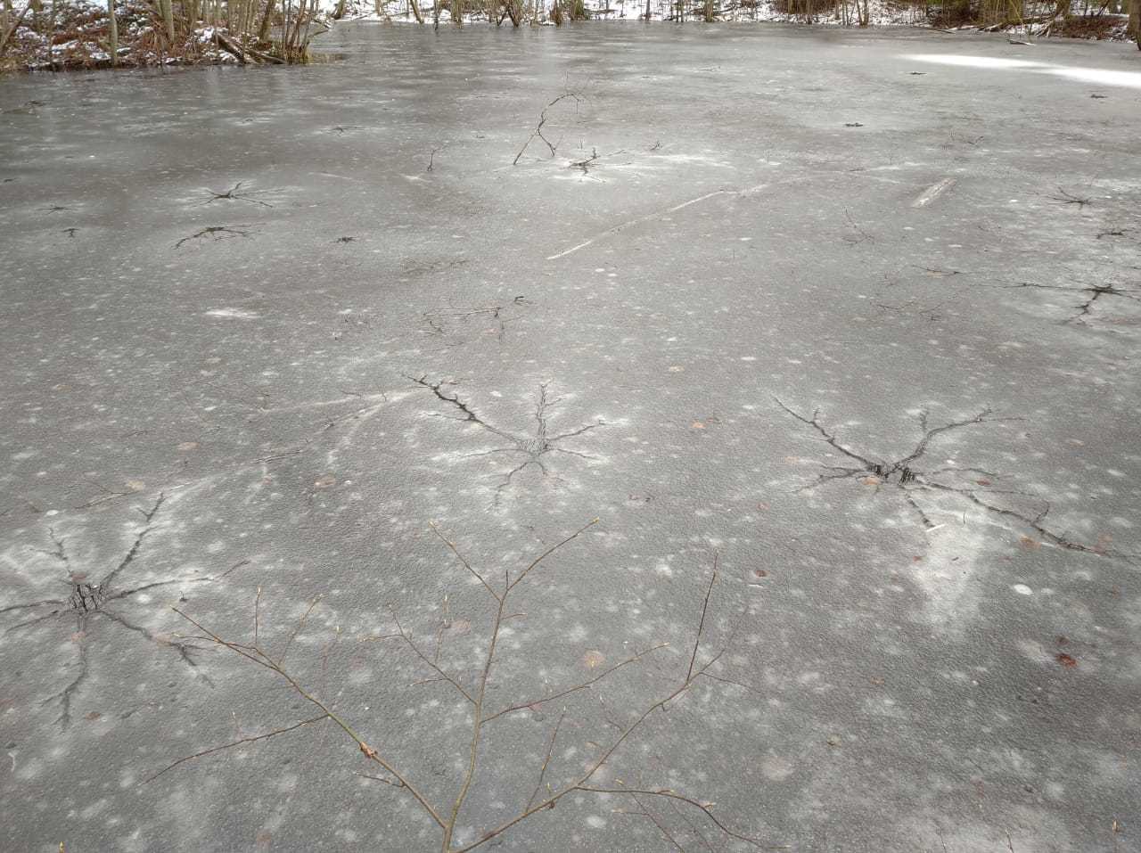 Thawed patches in the form of neurons on the lake - My, Ice, Wrong ice, Nature, Natural phenomena, Longpost