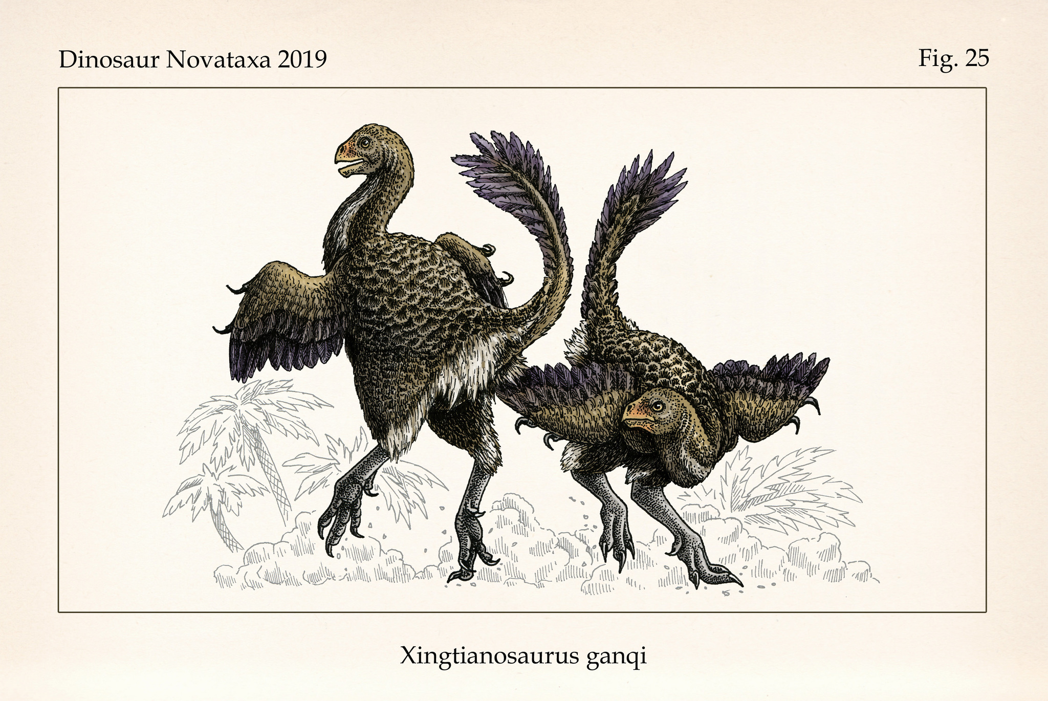 New Antiquities - dinosaurs discovered in 2019 (part 2) - My, Dinosaurs, Paleontology, Drawing, Pen drawing, The science, Longpost