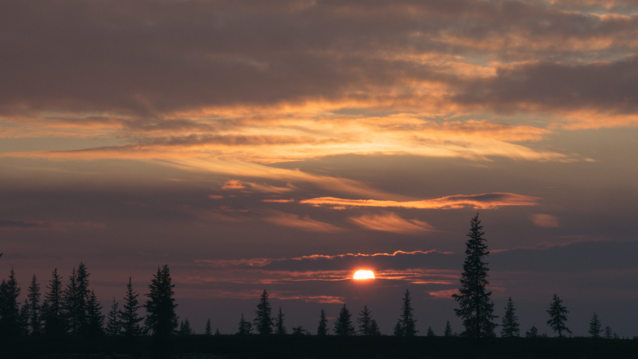 Sunset over the forest-tundra - My, Yamal, Tundra, Olympus, Landscape, Sunset, Russia, Nature