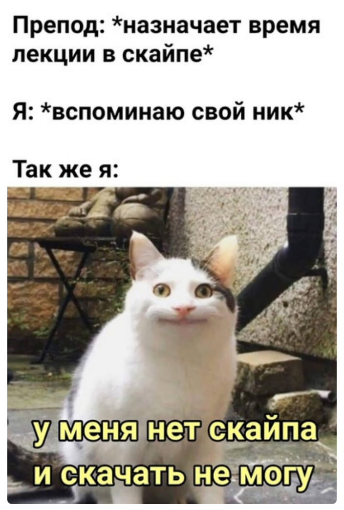 Странный ник | Пикабу