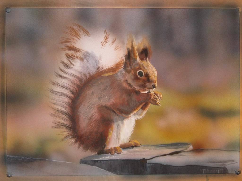 Squirrel - My, Squirrel, Painting, Drawing process, Longpost