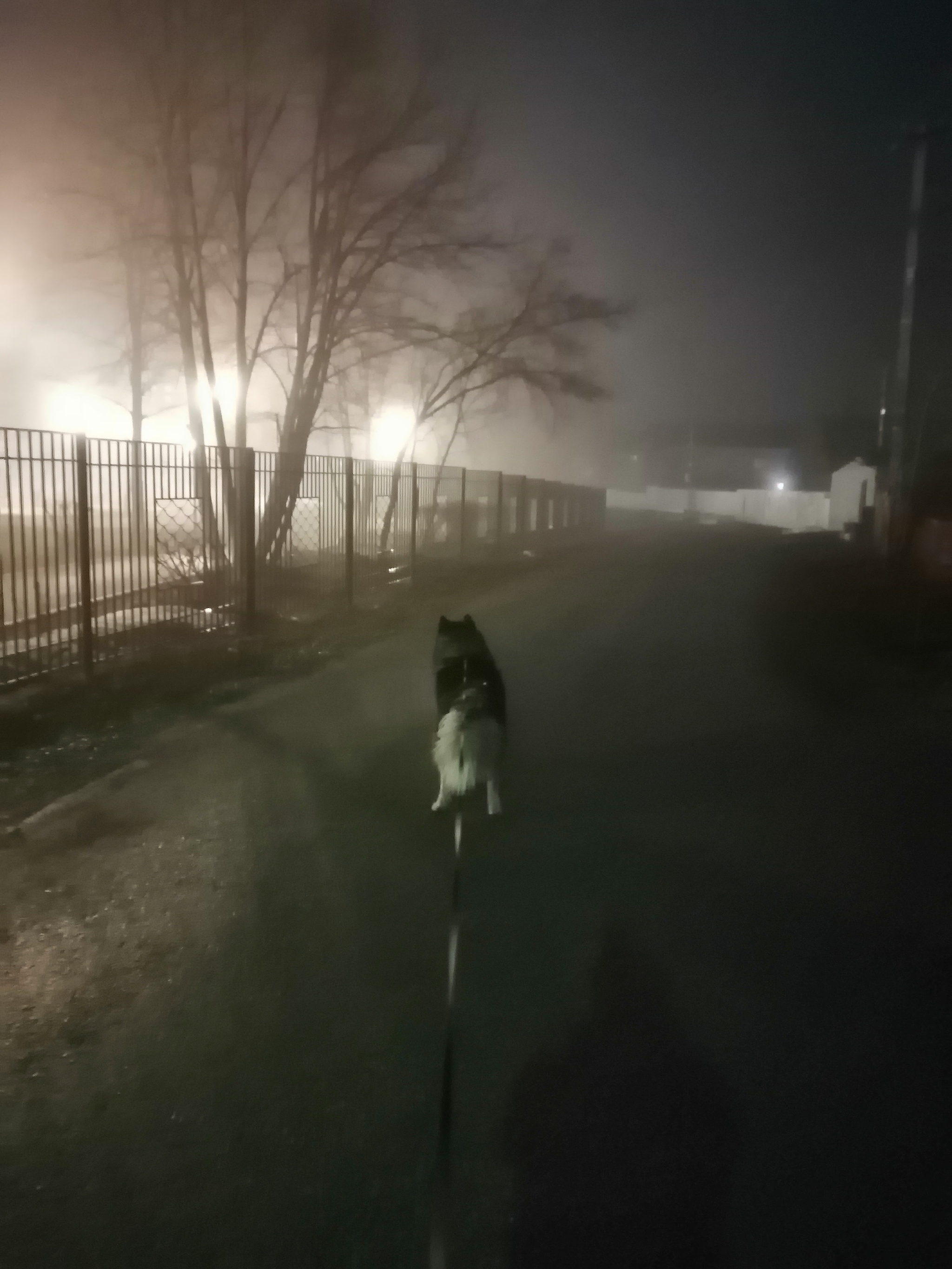 Silent Hill in Ufa - Walk, Coronavirus, Insulation, Quarantine, Humor, Longpost