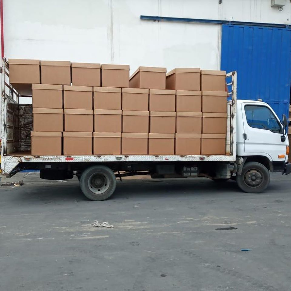 Ecuador receives first batch of cardboard coffins for coronavirus victims - Ecuador, Coronavirus, Funeral, news, Longpost, Negative