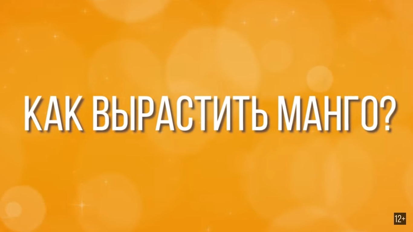 Как выбрать МАНГО / 4 ЛАЙФХАКА как есть манго / Обзор продуктов - Моё, Манго, Еда, Фрукты, Разделка, Видео, Длиннопост