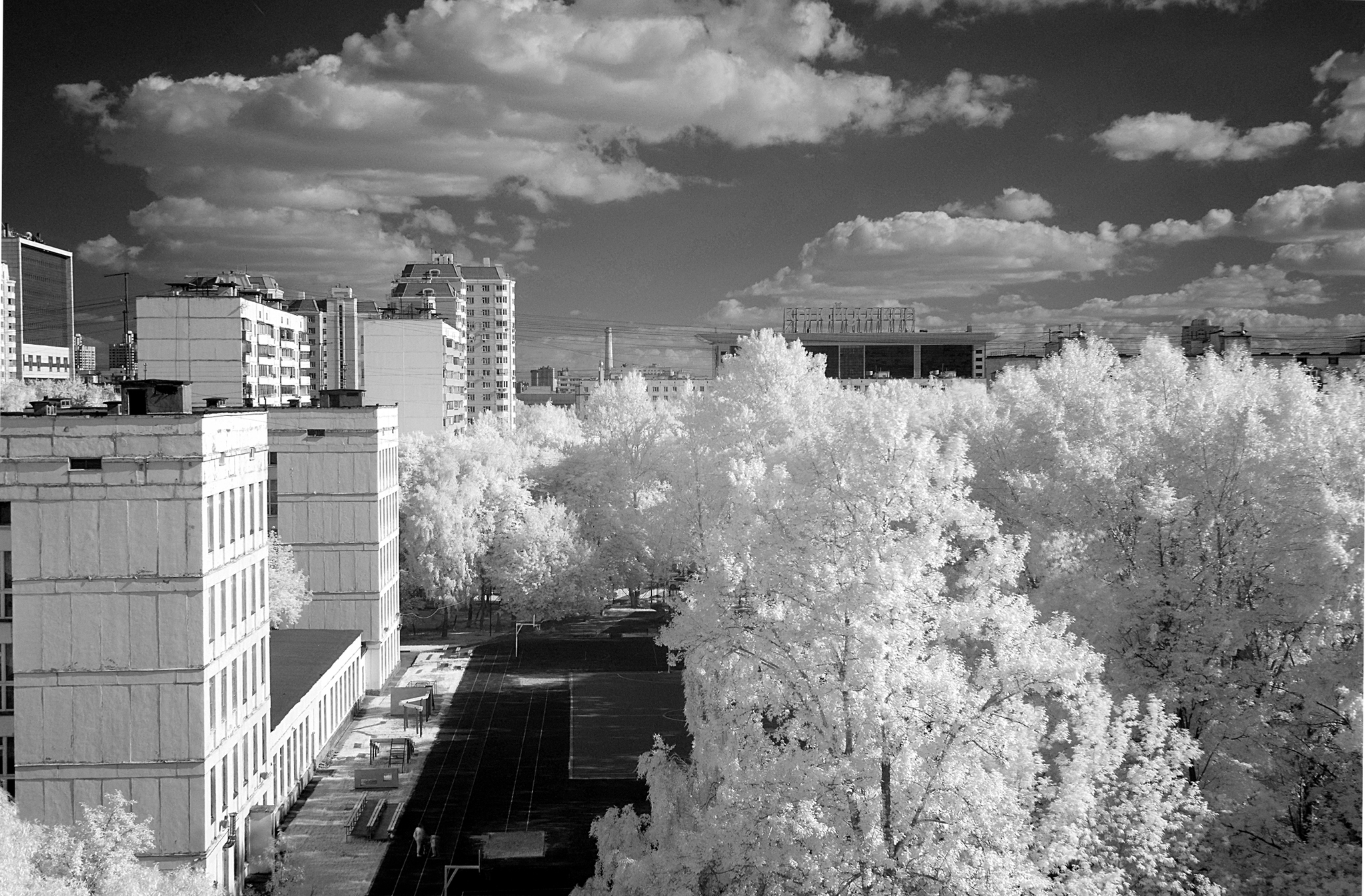 Infrared photo from the window - My, The photo, Infrared shooting