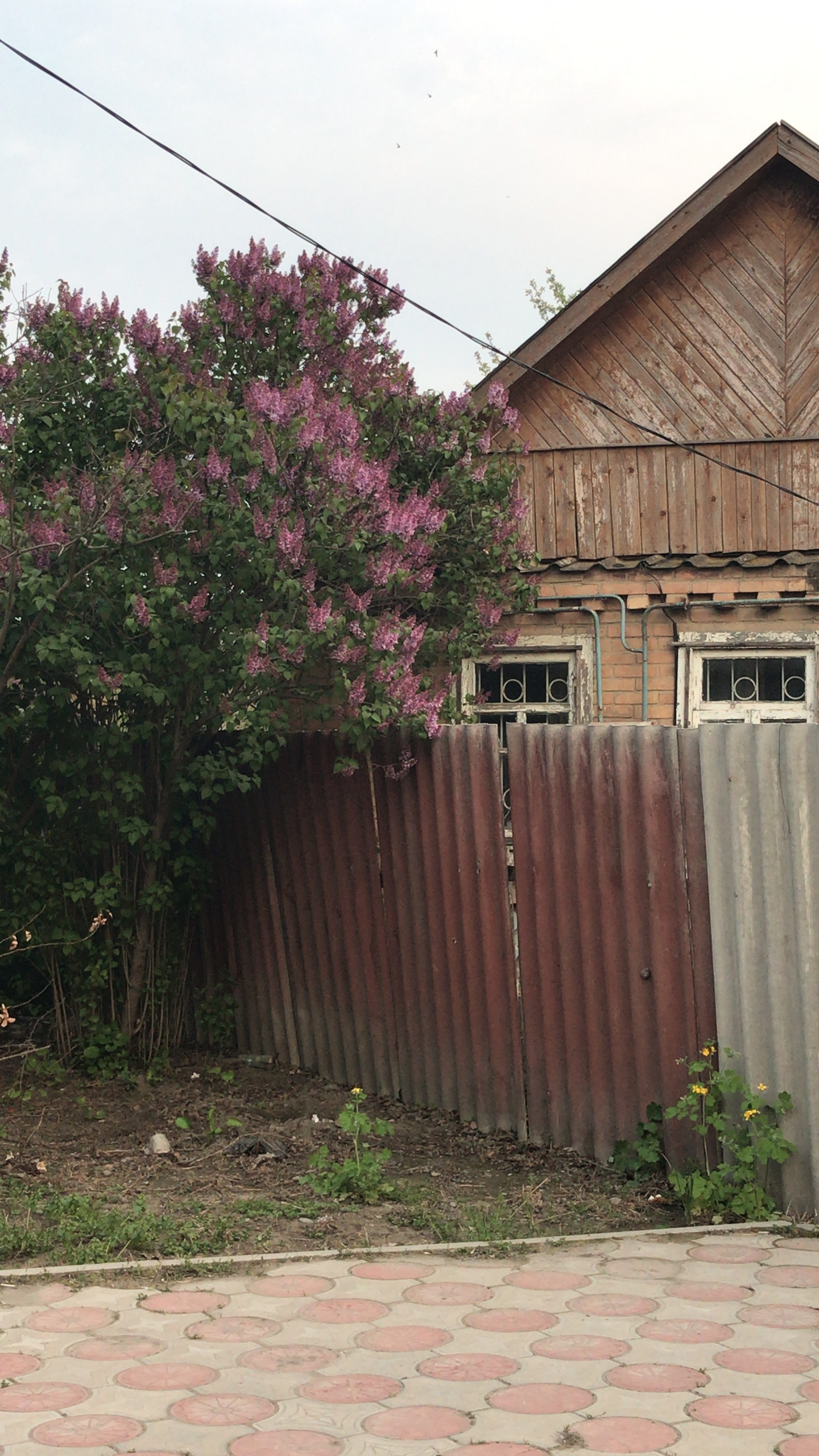 What nature is in my native land, and I’m sitting in a stone tower, locked by the “king”... - My, House, South of Russia, Cosiness, Russia, Longpost