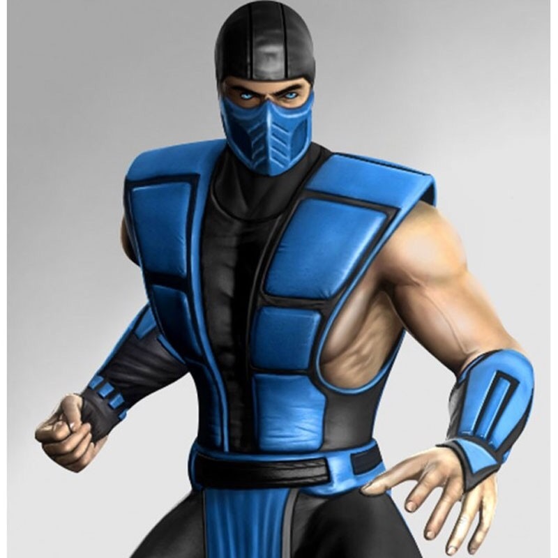 Let the battle to the death begin! - Mortal kombat, Insulation, Sub Zero