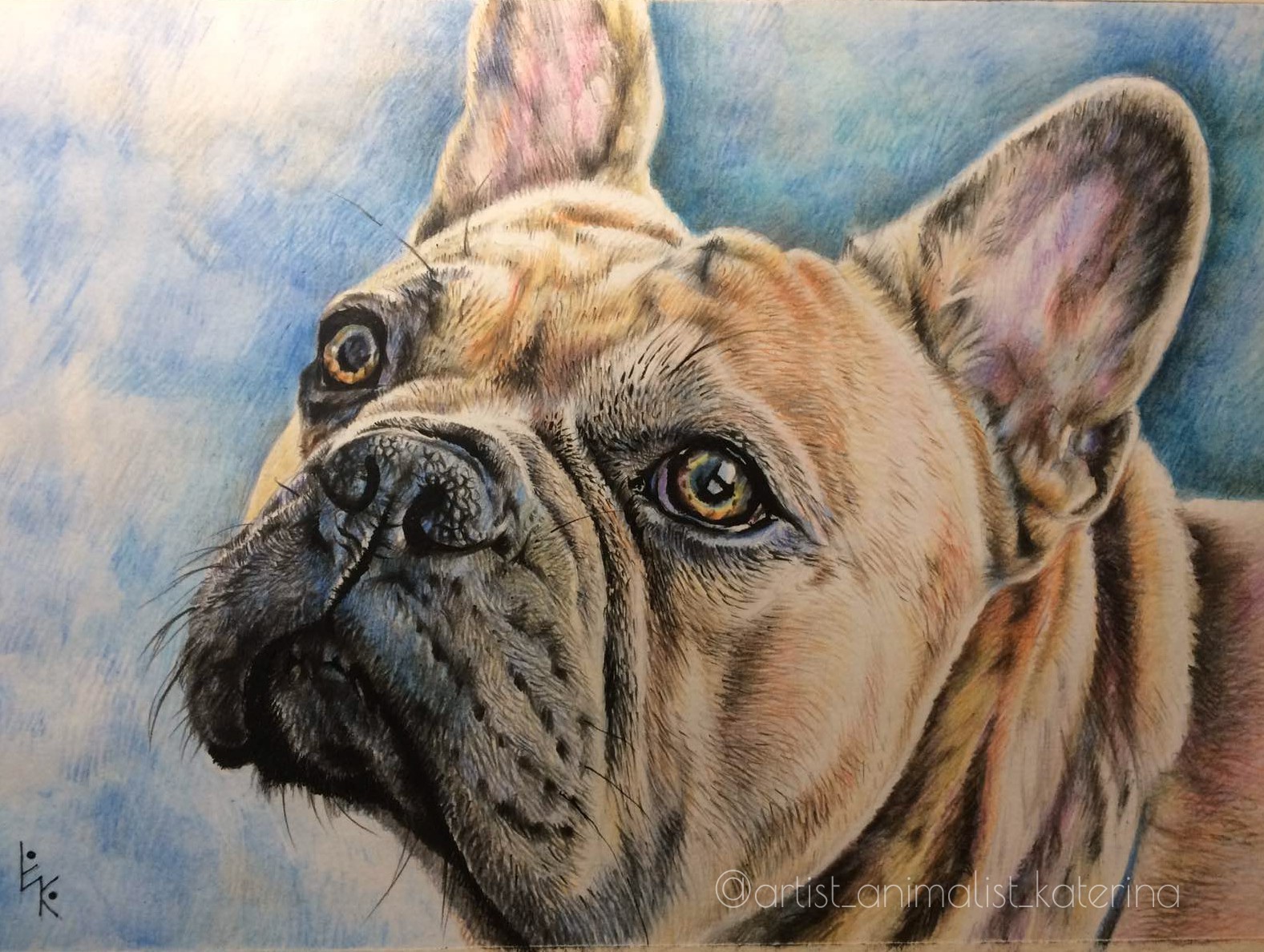 Портрет собаки цветными карандашами