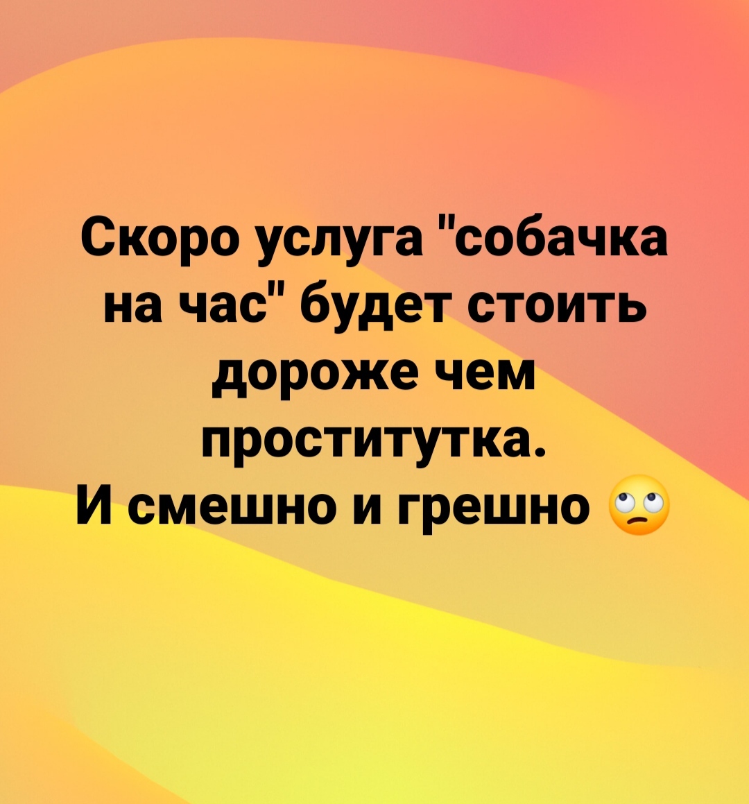 Карантин и прогулки почасово - Моё, Коронавирус, Карантин, Проститутки, Животные, Собака, Тег в виде гномика