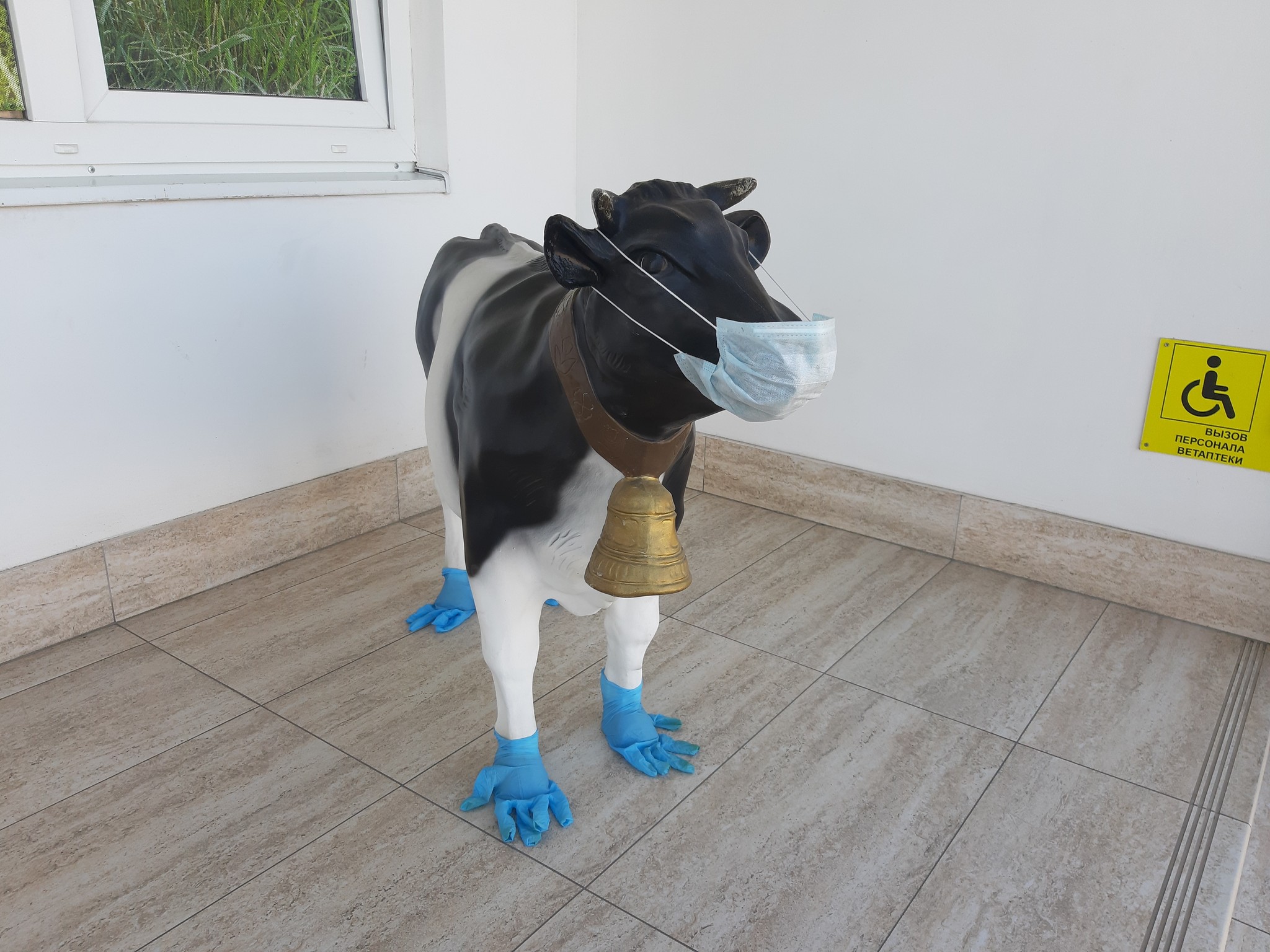 I walk past the veterinary pharmacy, and there... - Vetapteka, Cow, Strange humor, Longpost