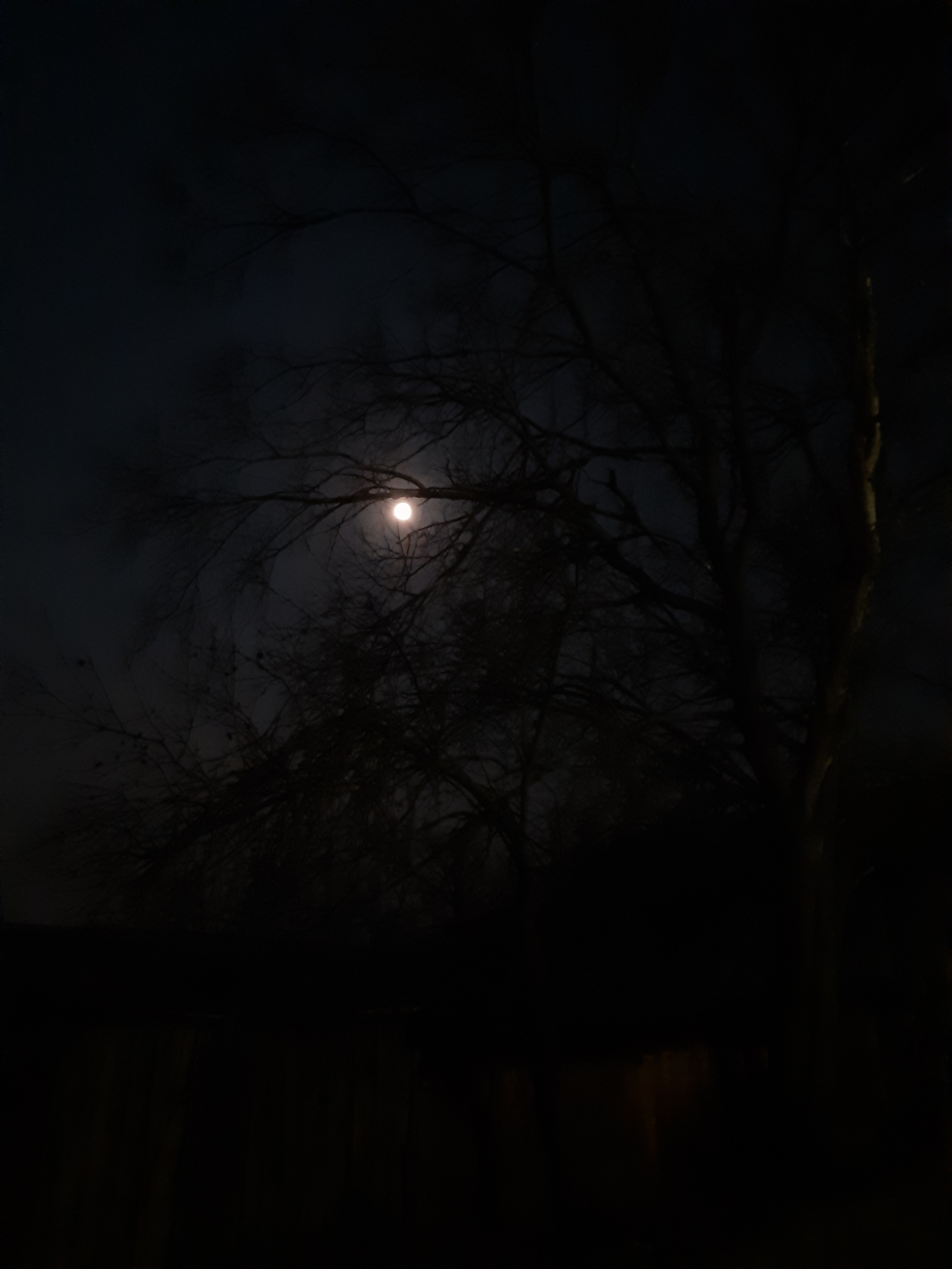 Was walking home from work at night - My, Photo on sneaker, Goodnight