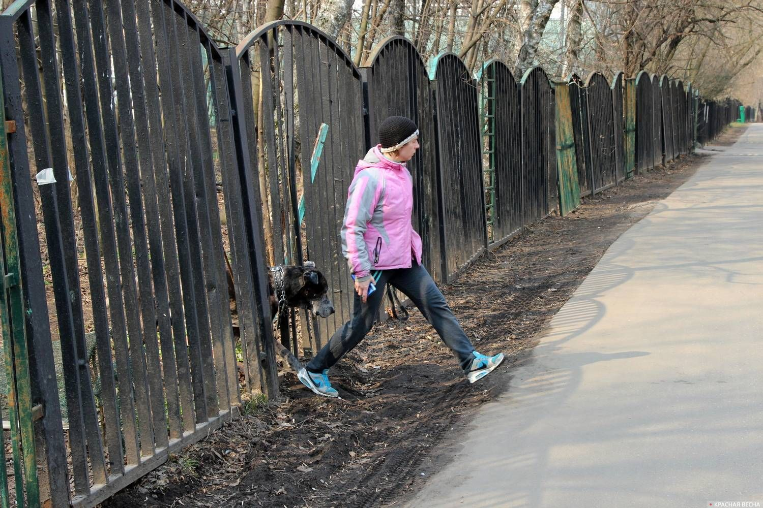 Photo report of self-isolated people - Russia, The photo, Moscow, Omsk, Murmansk, Yeisk, Gubkin, Longpost