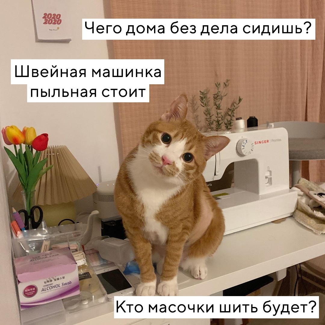 Займись делом - Кот, Мемы, Маска, Длиннопост